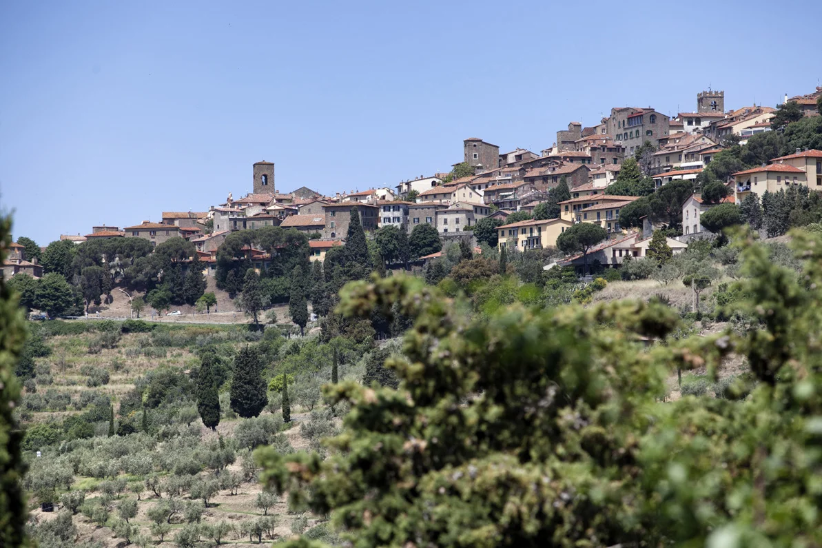 Villa Serena — foto 2